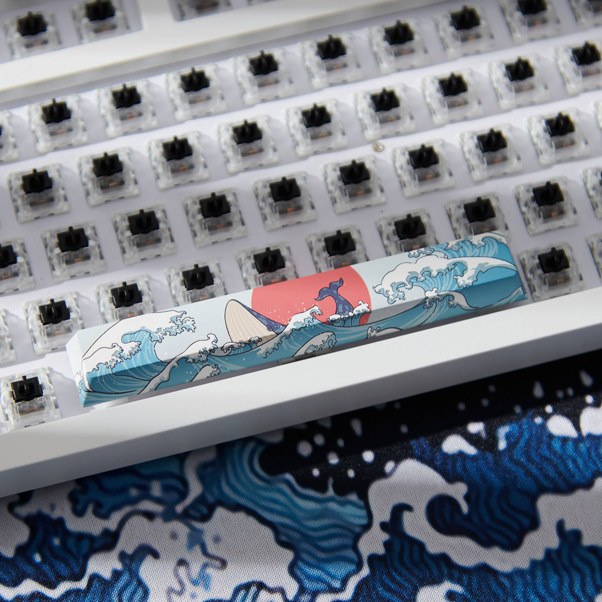 4 ชิ้น คีย์แคป Coral Sea 4 ชิ้ - Keycaps Spacebar 6.25U Custom บทวิจารณ์และราคา
