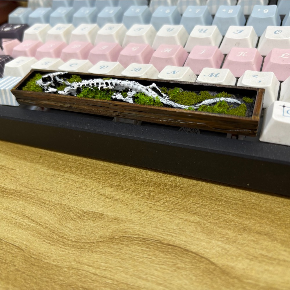 คีย์แคปธีมกระดูกมังกร วัสดุ PL - Keycaps Spacebar 6.25U Custom บทวิจารณ์และราคา