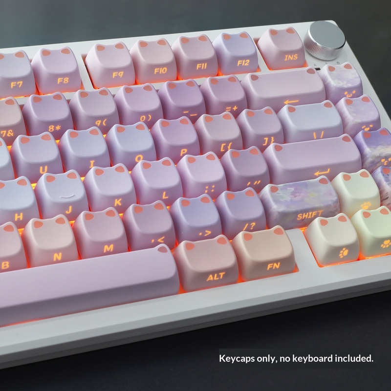 ชุดคีย์แคป PBT แบบมีไฟ RGB ลาย - Keycaps Spacebar 6.25U Custom บทวิจารณ์และราคา